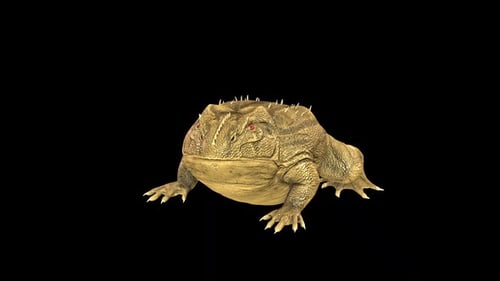 Realistic 3D Frog Blinking Animation on Black Background