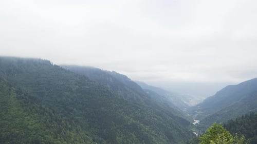 Aerial Valley Landscape Between Trees and Mountains 4K