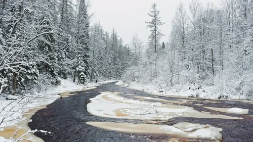Lindulovskaya Grove an Ecological Trail a Calm Winding River in a Snowy Forest Trees Under the Snow