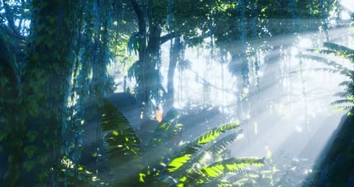 Sunlight Piercing Through Lush Tropical Jungle Canopy