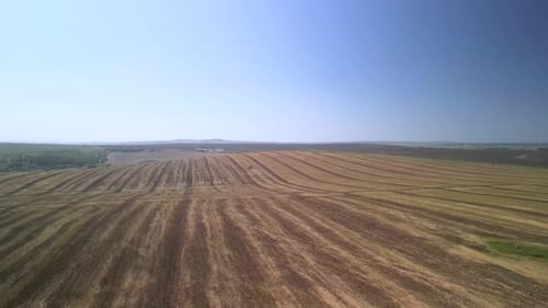 Tractor working on the field doing tillage with cultivator
