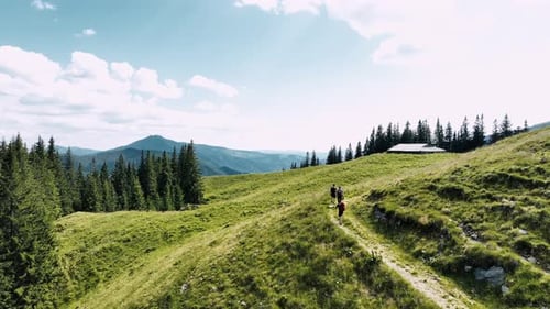 Drone View of Anonymous Male Travelers Walking on Mountain Road