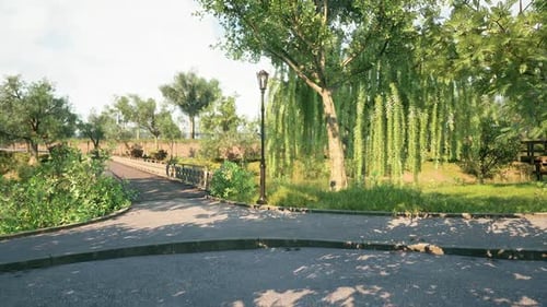 Lush Green Park Pathway with Weeping Willows in Springtime Sunlight