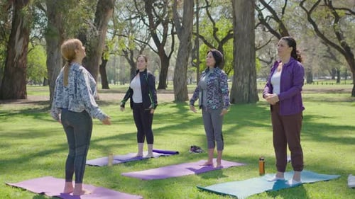 Women Practicing Yoga in Sunny Park Together