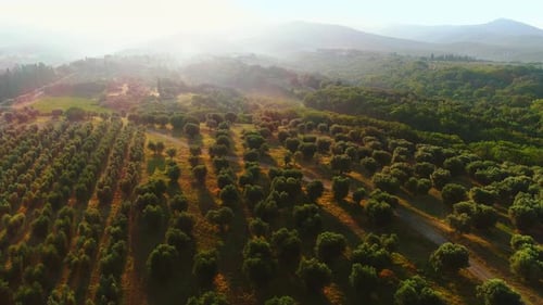 Filmmusik Drohnenaufnahme einer Landschaft mit Bergen und Wäldern. Nebliger sonniger Morgen in einem R