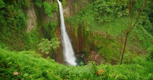 Very tall waterfall Catarata del Toro plunging into pool surrounded by dense greenery in Costa Rica