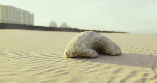 Unusual Rock Formation on Sandy Beach Near Urban Landscape During Sunset