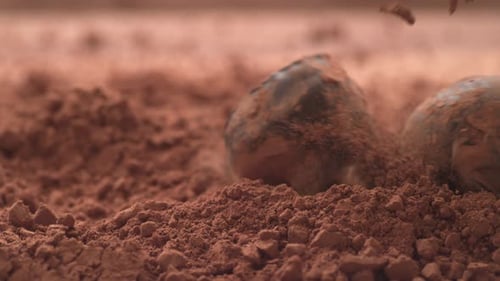 Chocolate Truffles Falling into Cocoa Powder in Slow Motion