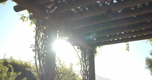 Sun, Lens Flare Through Beautiful Garden Trellis, Arbor Arbor