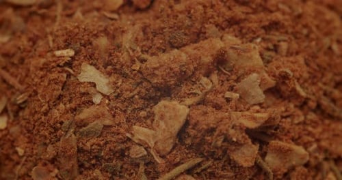 Close Up View of Dry Rub Spice Blend
