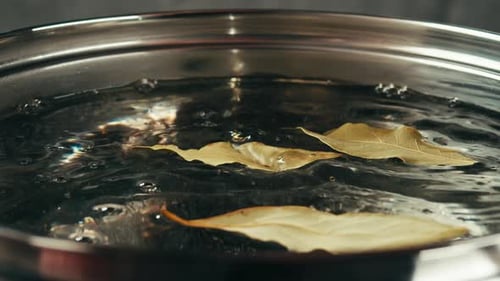 Laurel Bay Leaf in Boiling Soup Top View Close Up