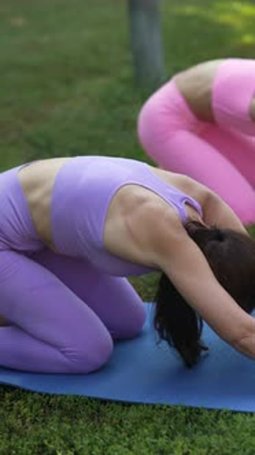 A Gathering for Group Yoga in the Park on a Summer Day