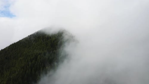 Olympic Peninsula Green Mountain With Lush Forest In Washington, USA. - aerial shot