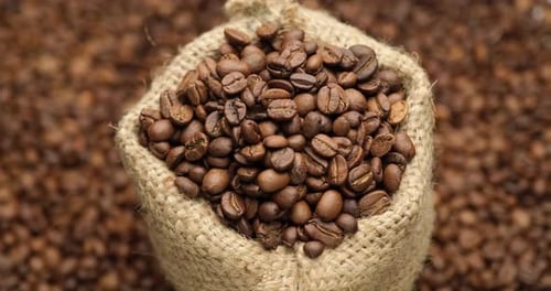 Roasted Coffee Beans in Burlap Bag Close Up