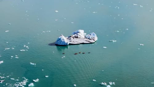 Ariel Drone Shot of People Kayaking Next to Huge Iceberg in Jokulsarlon Glacier Lagoon Iceland
