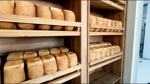 Shelves with Rows of Fresh Baked Loaves of Bread