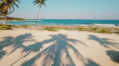 Woman walking on sandy beach with palm trees and turquoise sea under clear sky