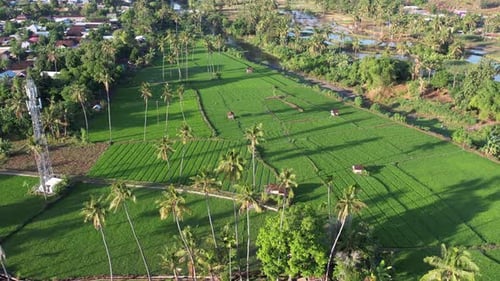 Sumbawa Island
