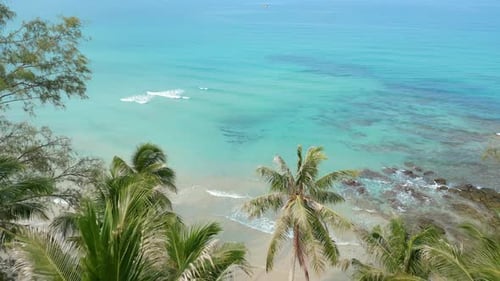 Stunning Aerial View of the Palms Turquoise Ocean Water and White Sand Beach