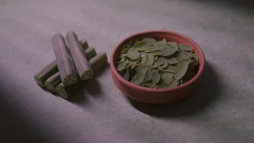 Fresh Green Moringa Leaves and Sticks