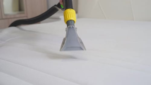 Cleaning Company Cleans the Mattress