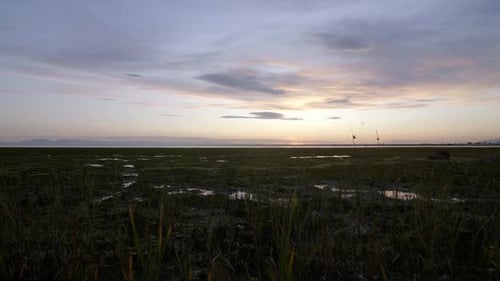 Camera tracks forward towards marshy beach at Sunset