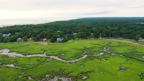 Vast Wetlands with Winding Channels, Reflective Pools, and Expansive Scenery