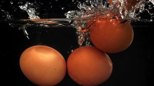 Eier, die auf schwarzem Hintergrund unter Wasser fallen, gefilmt mit einer Hochgeschwindigkeitskamera mit 1000 Bildern pro Sekunde