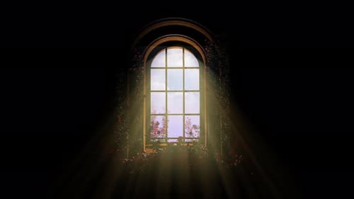 Brillo de ventana