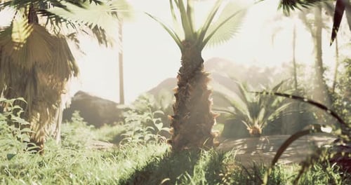 Sunlit Tropical Jungle with Swaying Palm Trees