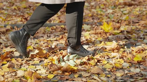 Woman in Black Boots Walks Along Path Covered with Yellow Leaves and Kicks Up