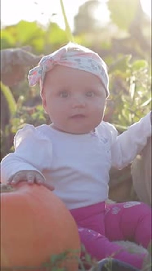 Infant Sits Next to Pumpkin in Field