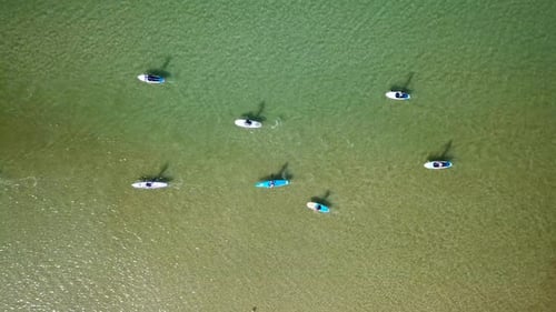 SUP surfers paddling along a Mediterranean coast