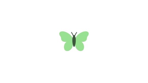 Flat Design Green Butterfly Icon Animation
