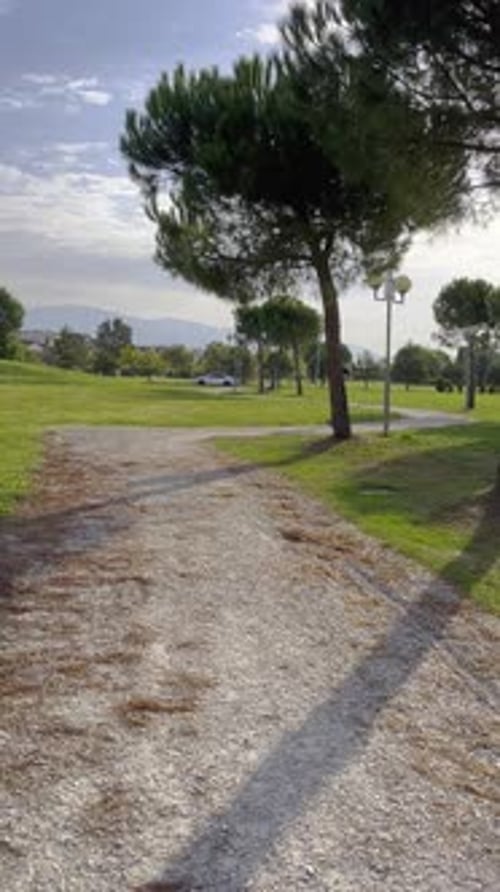 Person Running on Path Through Green Space