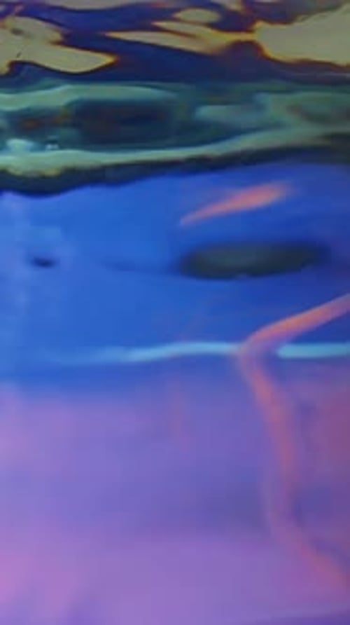 Underwater Abstract View with Colorful Motion and Light