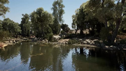 Tranquil River Reflection Surrounded By Lush Greenery During a Sunny Day