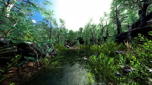 Small Pond in the Forest with Moss Covered Rocks