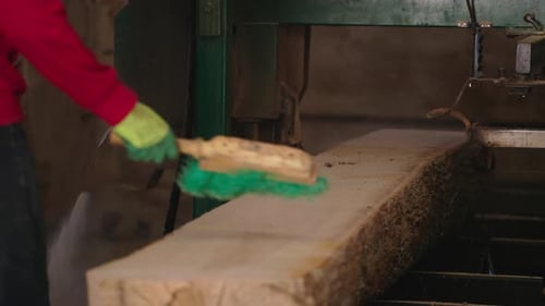At the sawmill, a saw cuts brown wood. Tree bark and old rusty saw. Close-up. Work at the sawmill.