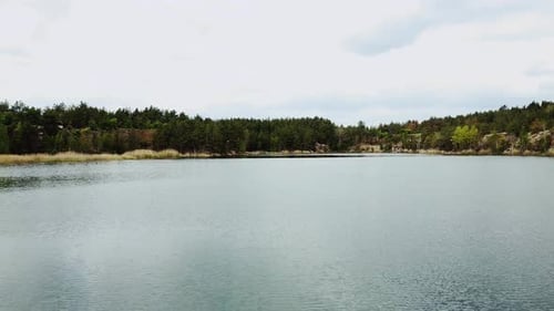 Aerial View of Small Island with Pine Trees in the Middle of the Lake
