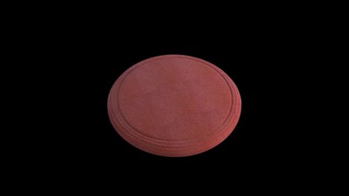 Frisbee