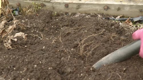 Preparing Soil with Garden Fork in Raised Bed