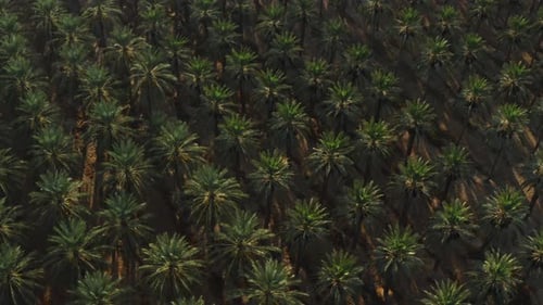 Jordan Valley
