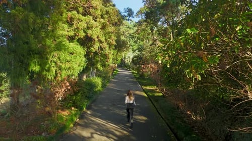 Aerial View Serenity in Steps Batumi s Botanical Wonders Meet Elegance