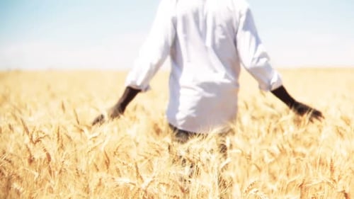 Homem andando sozinho por um campo de trigo