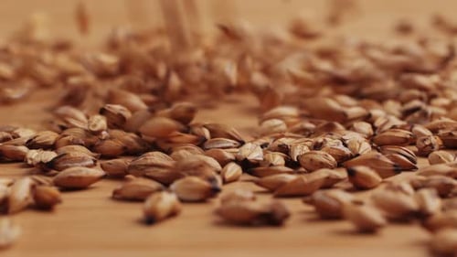 Chá seco de feijão torrado de cevada em pequeno prato sobre fundo de madeira