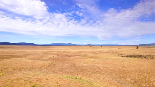 Golden Field Flyover by Aerial Drone Agriculture