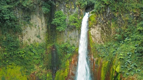 High Waterfall Emerging From Cliffside Into Lush Rainforest Basin in Costa Rica