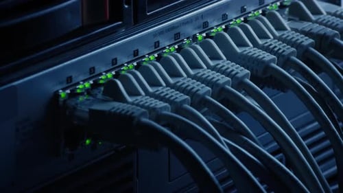 Macro Shot: Ethernet Data Cables Connected to Router Ports with Blinking Lights. Telecommunications