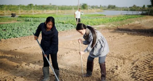 Two Asian women in warm clothing are working together in a garden.